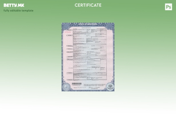 Модерен стил шаблон за сертификат за смрт од САД Луизијана